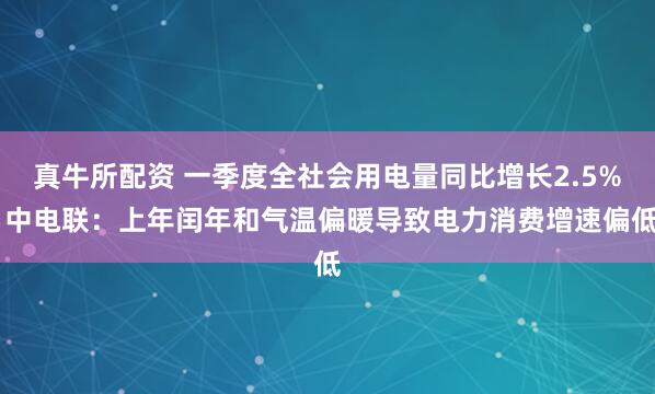 真牛所配资 一季度全社会用电量同比增长2.5% 中电联:上年闰年和气温偏暖导致电力消费增速偏低