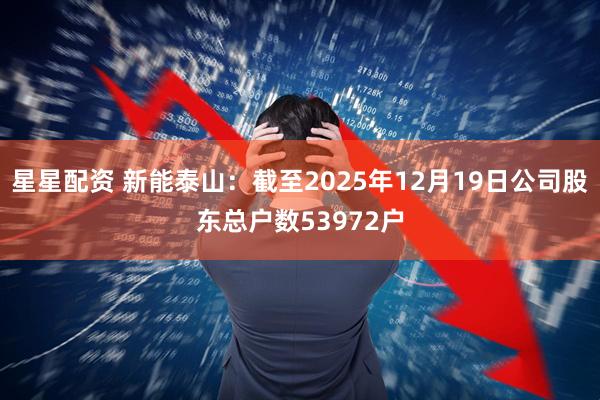 星星配资 新能泰山：截至2025年12月19日公司股东总户数53972户
