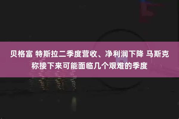 贝格富 特斯拉二季度营收、净利润下降 马斯克称接下来可能面临几个艰难的季度
